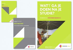 欧美enexis能源环保公司 融合企业形象设计与文化艺术交流的创新实践